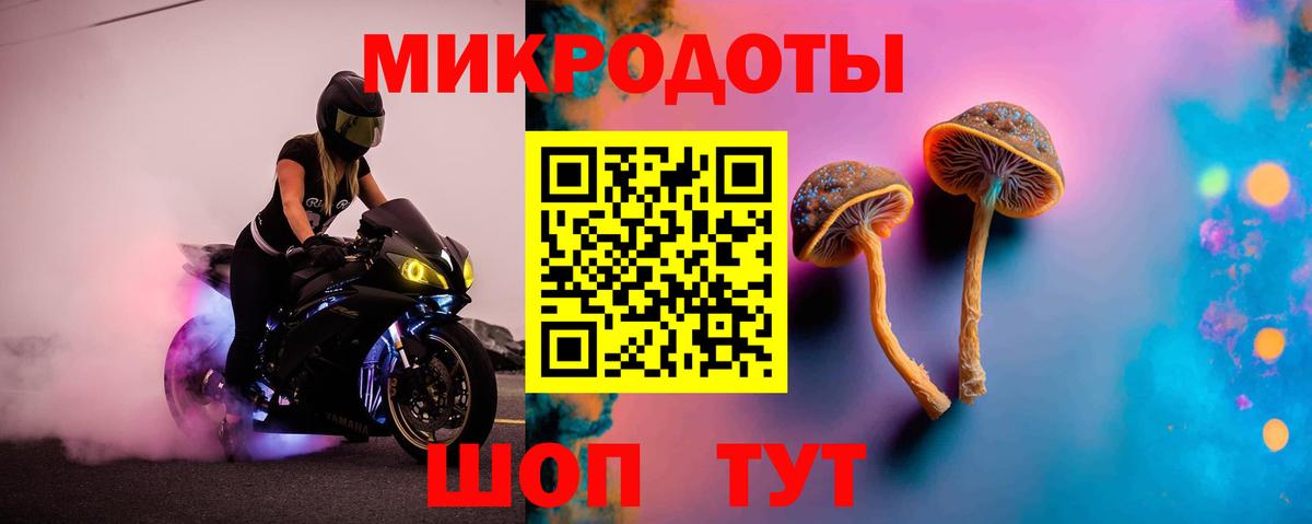 Псилоцибиновые грибы мухоморы Первоуральск